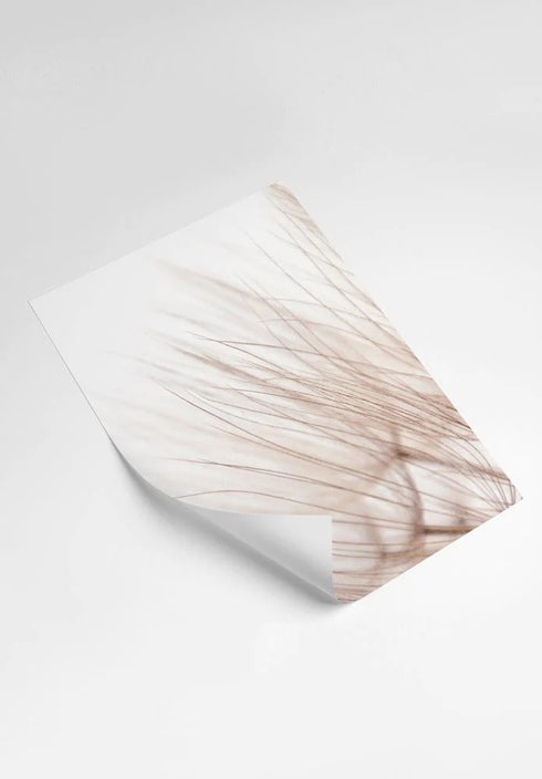 Flowers Set Of 2 Posters 50x70cm
